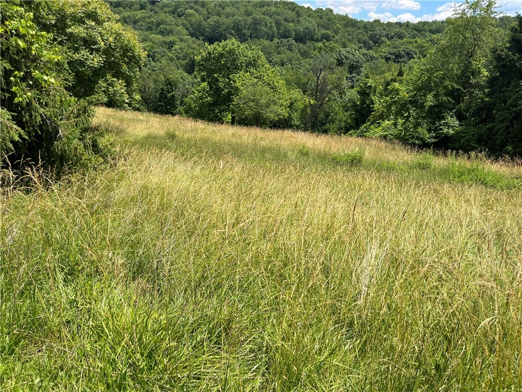 00 Calhoun Road, Elizabeth, PA 15037
