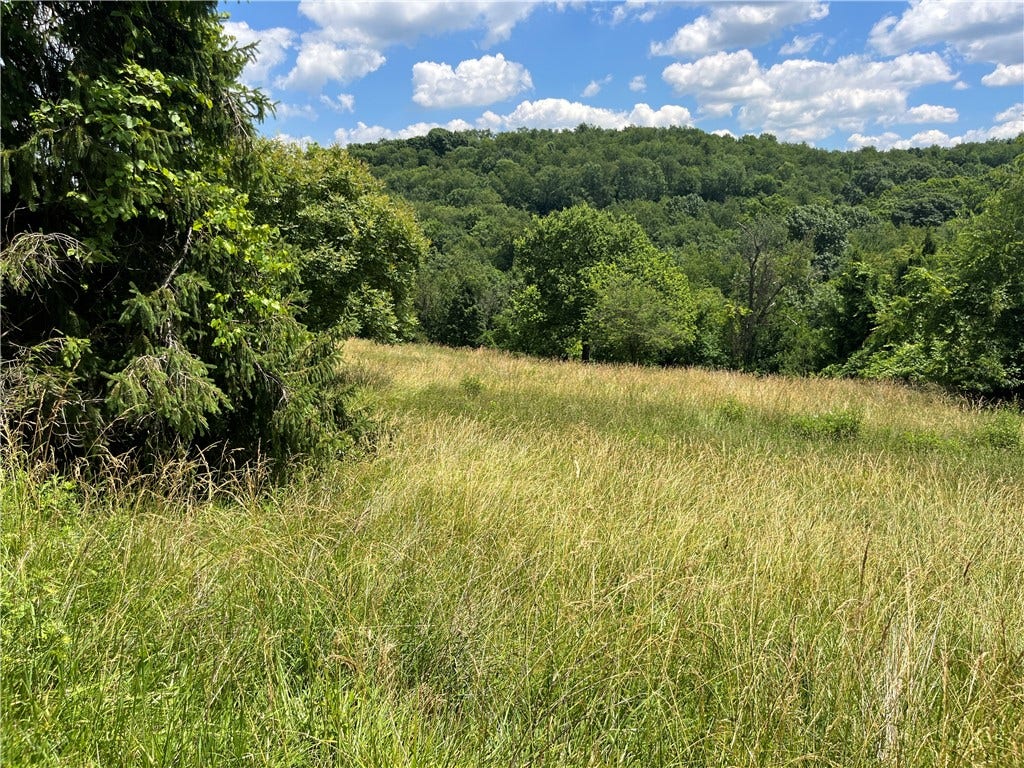 00 Calhoun Road, Elizabeth, PA 15037