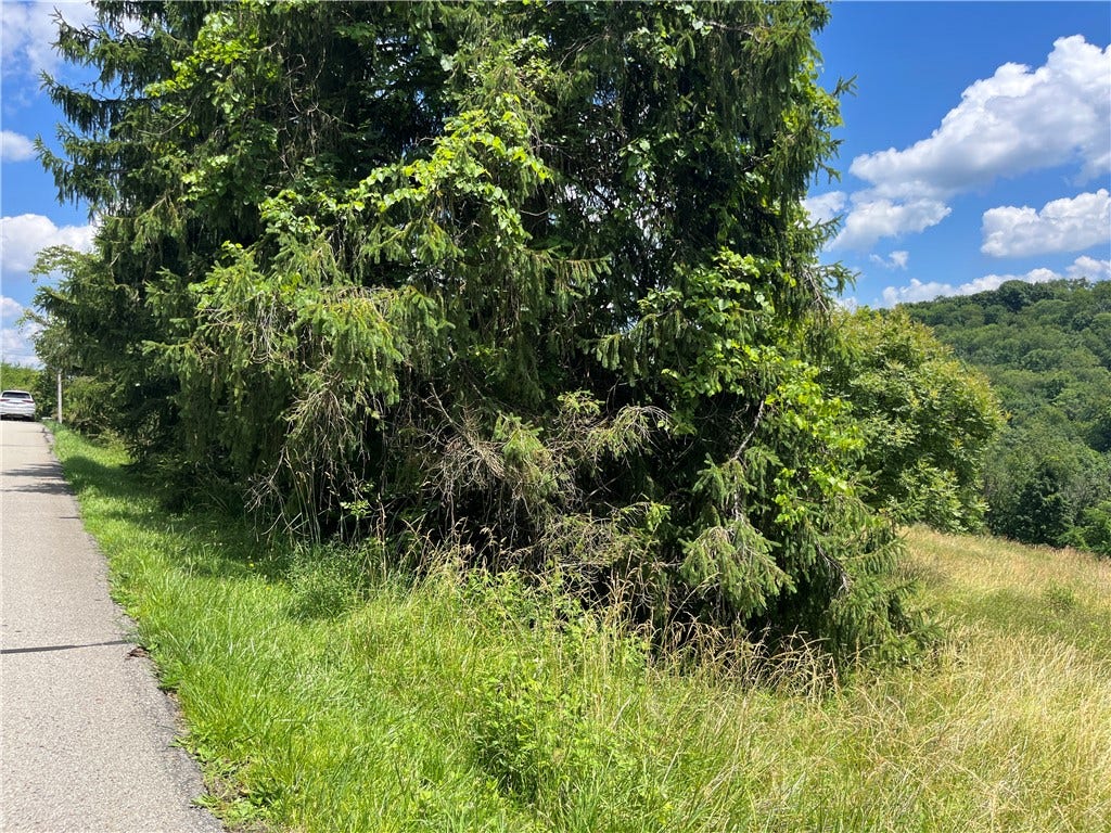 00 Calhoun Road, Elizabeth, PA 15037