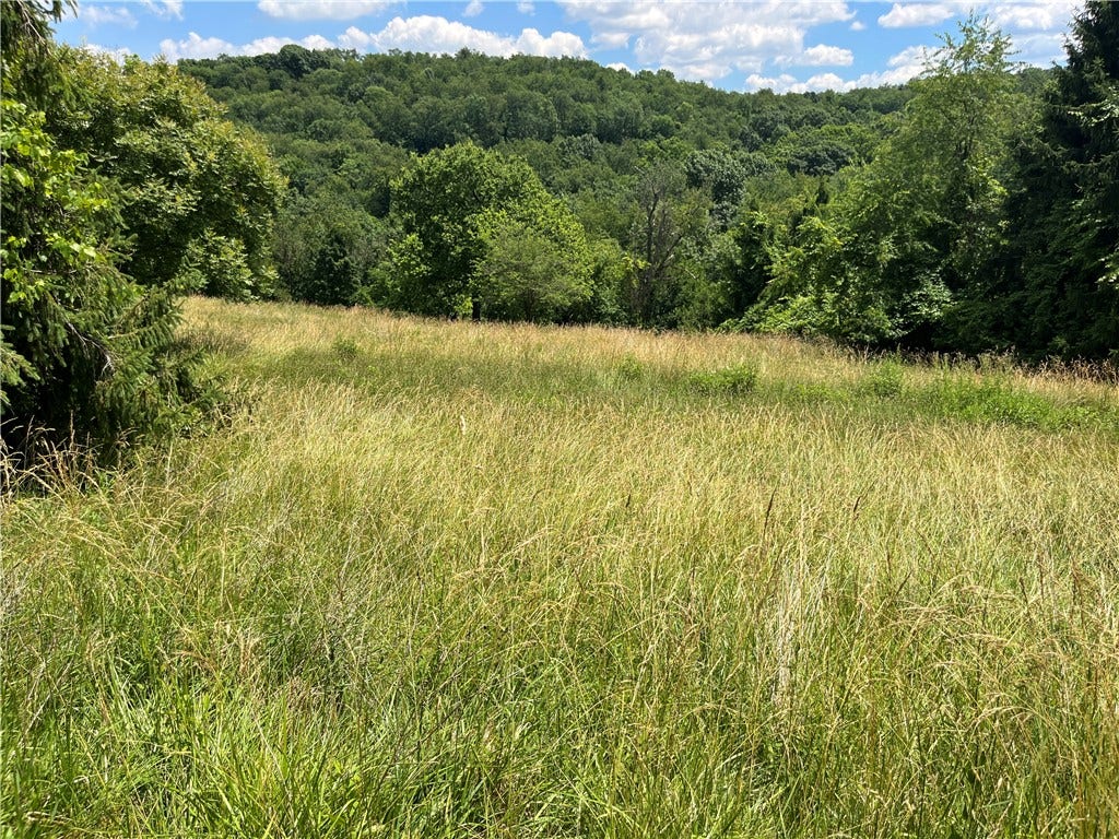 00 Calhoun Road, Elizabeth, PA 15037
