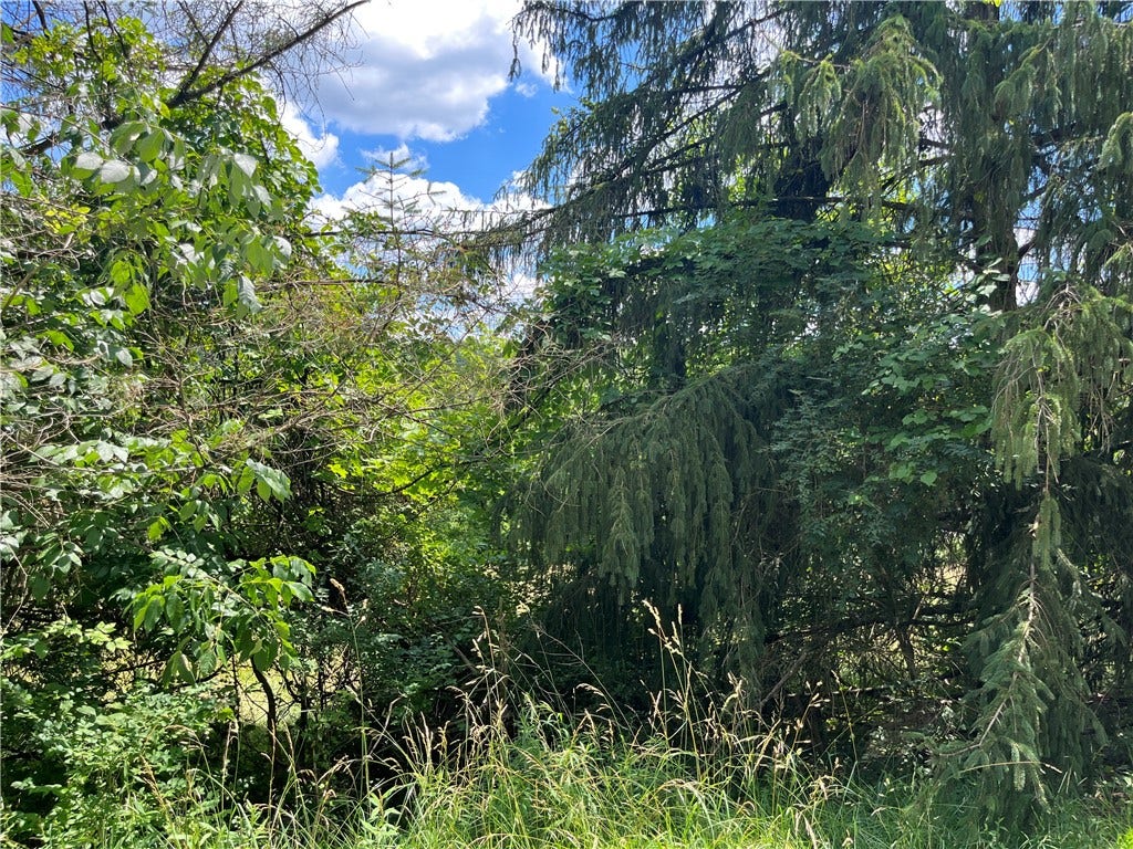 00 Calhoun Road, Elizabeth, PA 15037