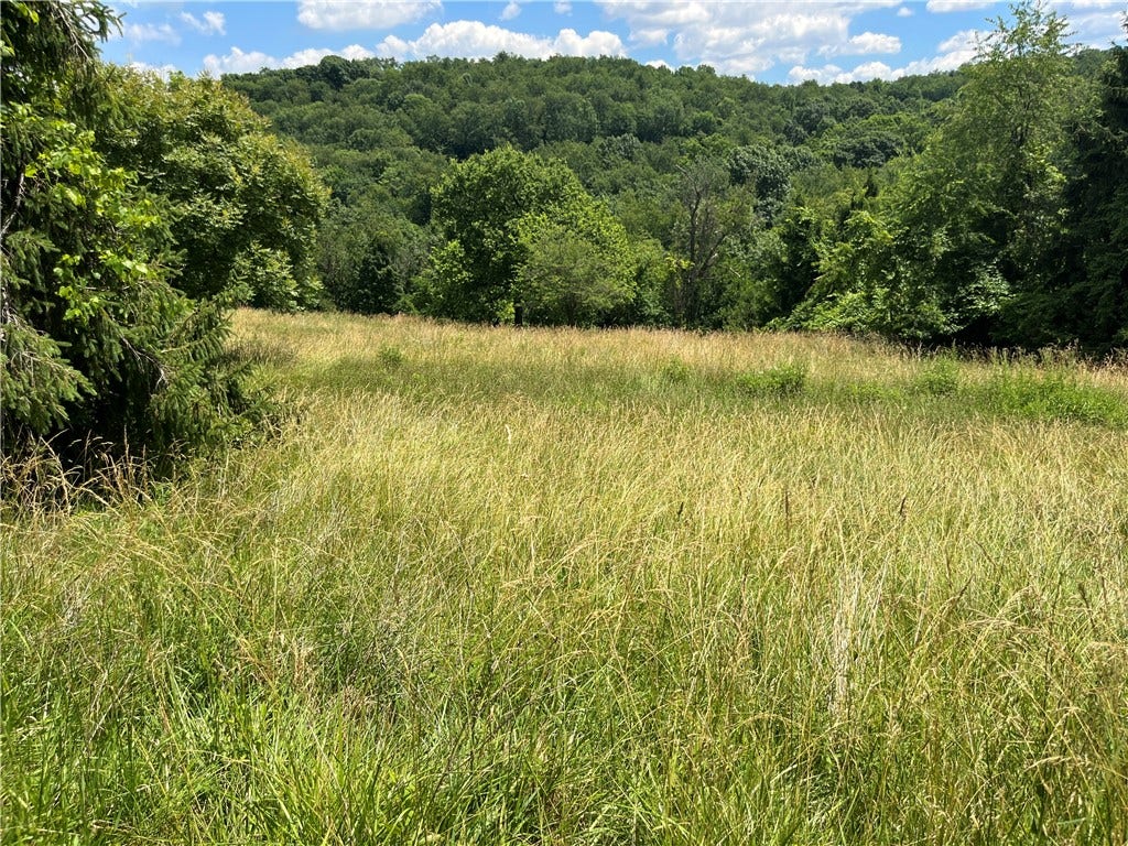 00 Calhoun Road, Elizabeth, PA 15037