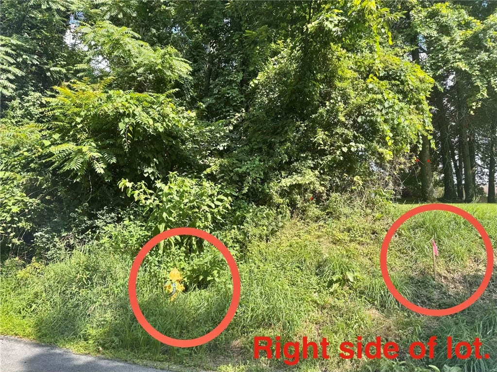 Stake Set RIGHT SIDE.  Also, fire hydrant shown.