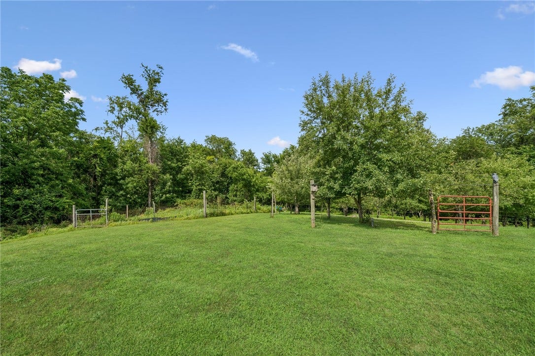 Orchard