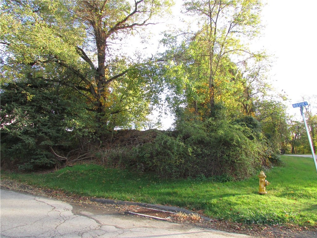 301 OAK AVENUE, Elizabeth, PA 15037