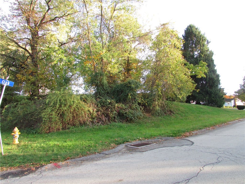 301 OAK AVENUE, Elizabeth, PA 15037