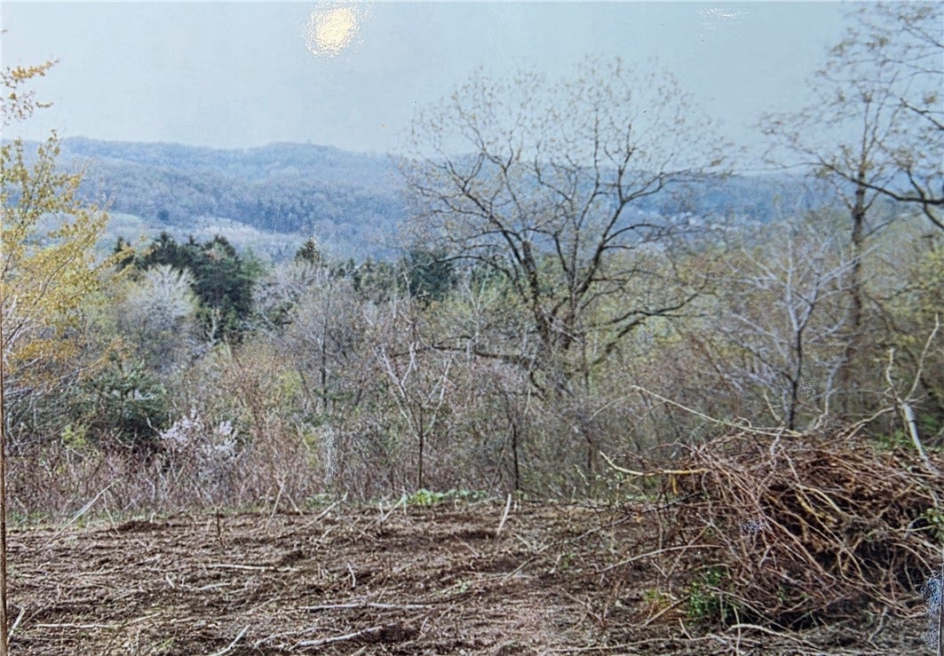 Previous photo when homesite was being cleared
