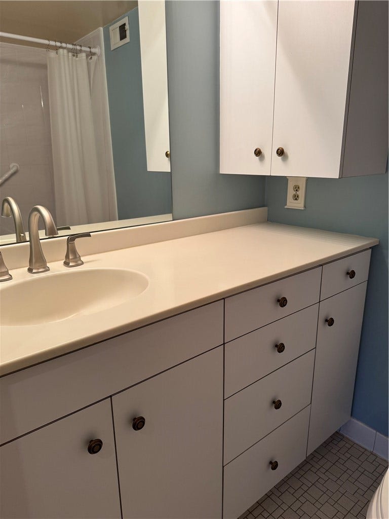 1160 BOWER HILL RD, #314A, Pittsburgh, PA 15243 Owners Suite Bathroom