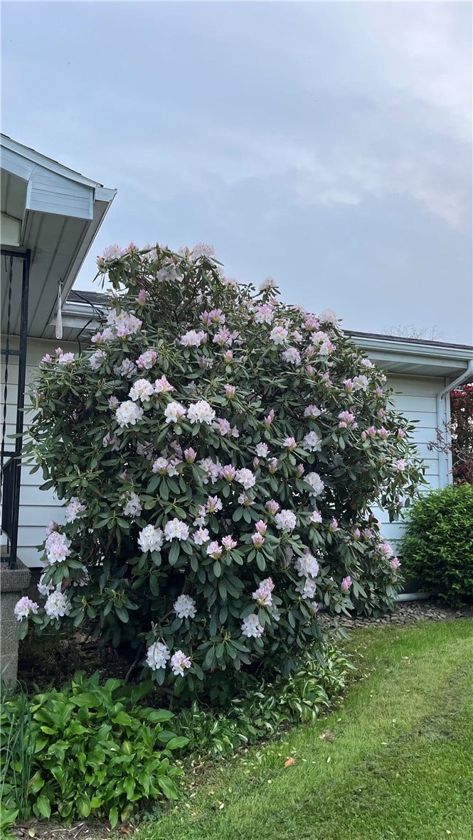 1416 Hawthorne St, Connellsville, PA 15425