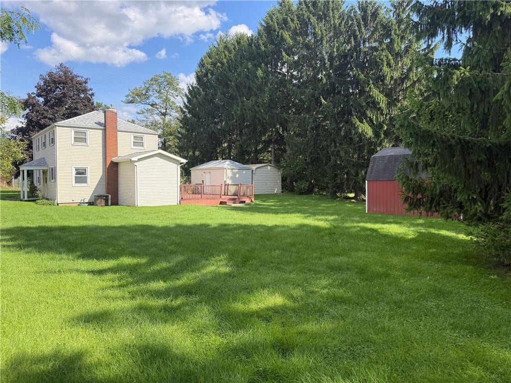 Back yard