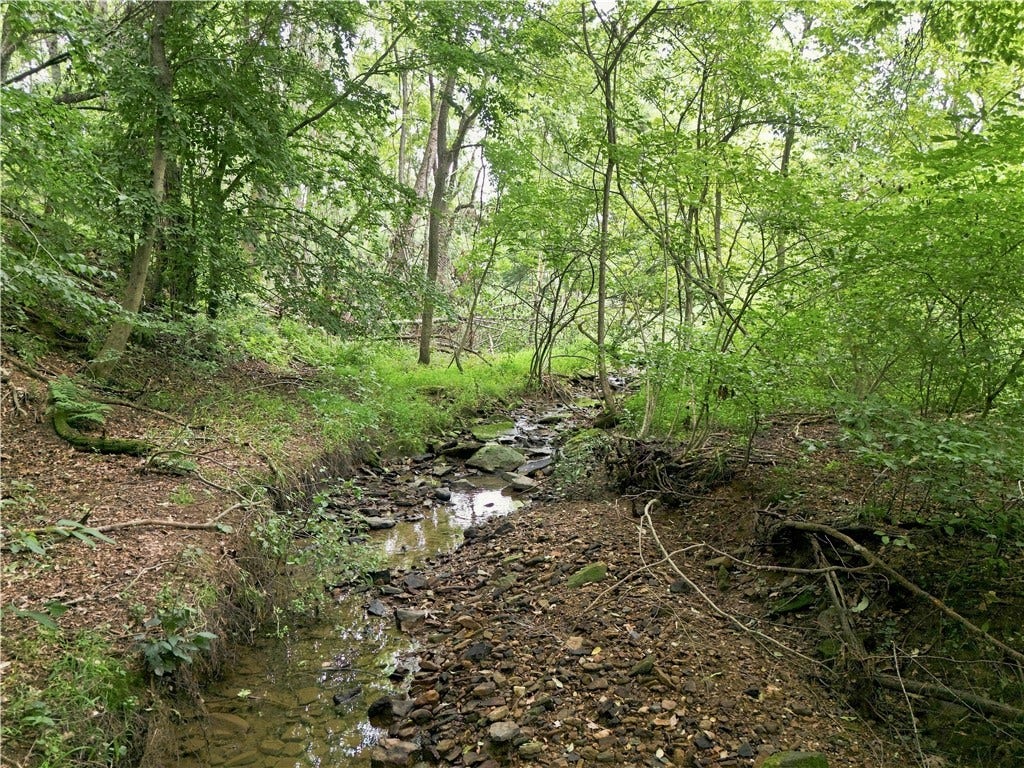 Creek Bed
