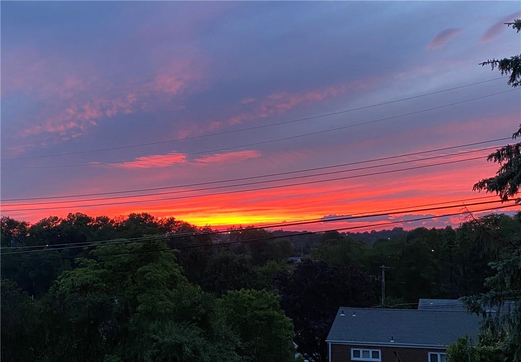 193 Woodhall Dr, Pittsburgh, PA 15236 sunsets from the back deck are breathtaking