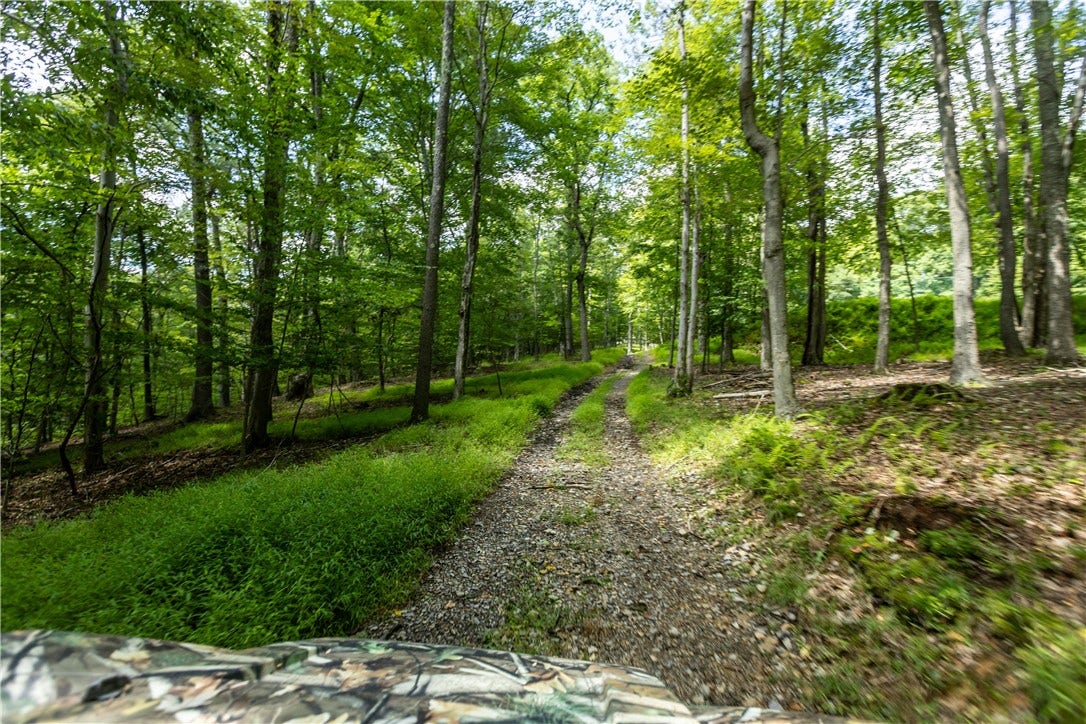 Walking/driving trails
