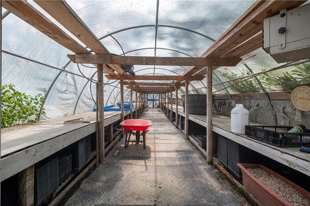 This 60 ft x 14 ft greenhouse sits above the driveway.  It's ready to go!  There's a small gas heater in place, but we don't know if it works.  Tables and starting flats are stored under the tables.  Family will be removing a few items- big black tub, and blue trays.