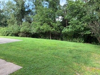 1120 O Block Road, Pittsburgh, PA 15239 Level wooded Backyard with beautiful trees.