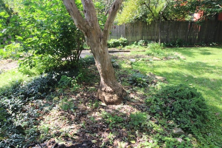 5546 Hays St, Pittsburgh, PA 15206 Rain garden front entrance