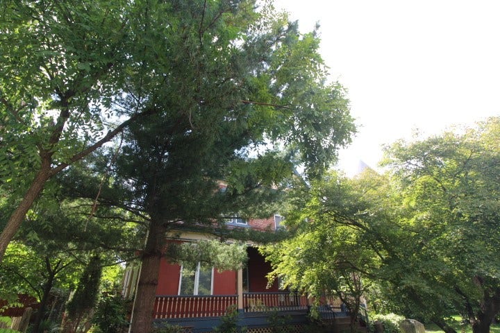 5546 Hays St, Pittsburgh, PA 15206 Welcome home! This classic Victorian offers comfort and privacy with over 3000 sq ft living space and a tranquil back yard