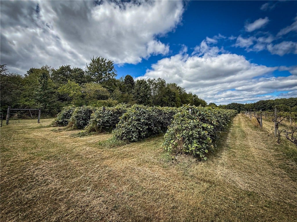 115 Dreher Farm Ln, Butler, PA 16002