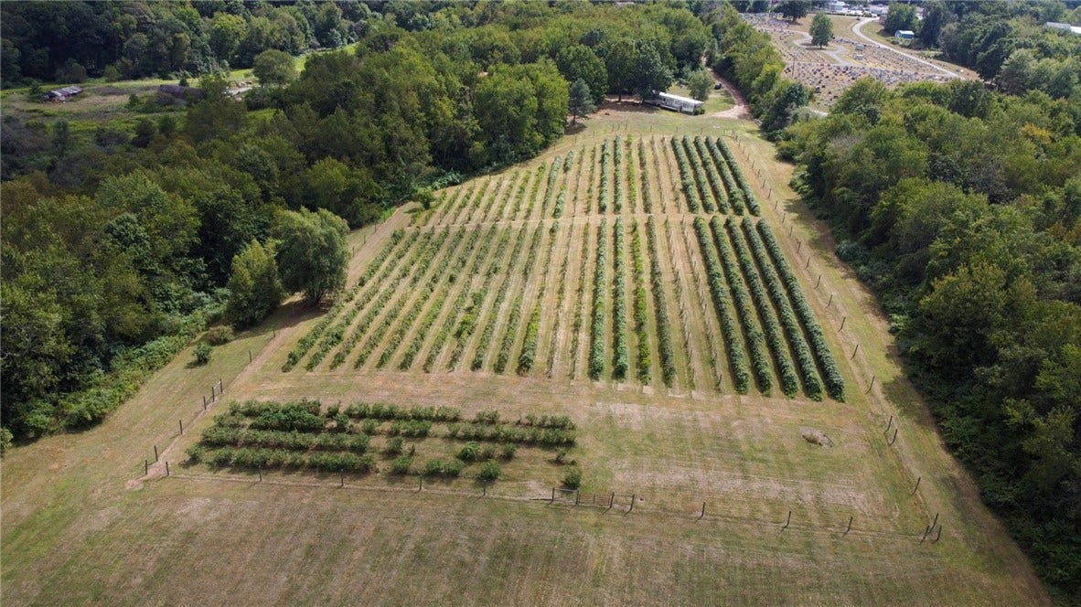 115 Dreher Farm Ln, Butler, PA 16002