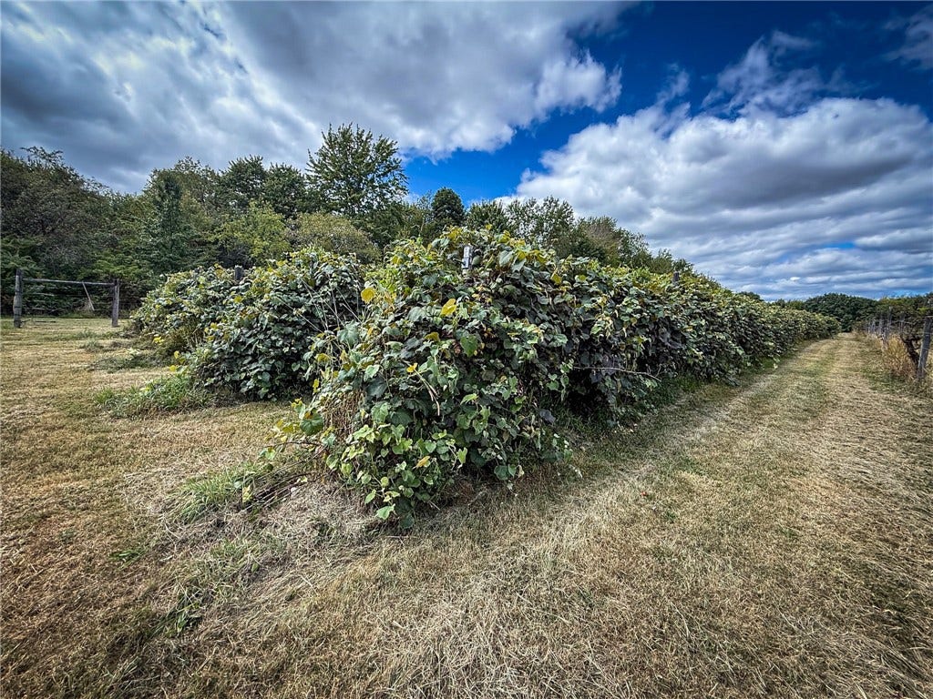 115 Dreher Farm Ln, Butler, PA 16002