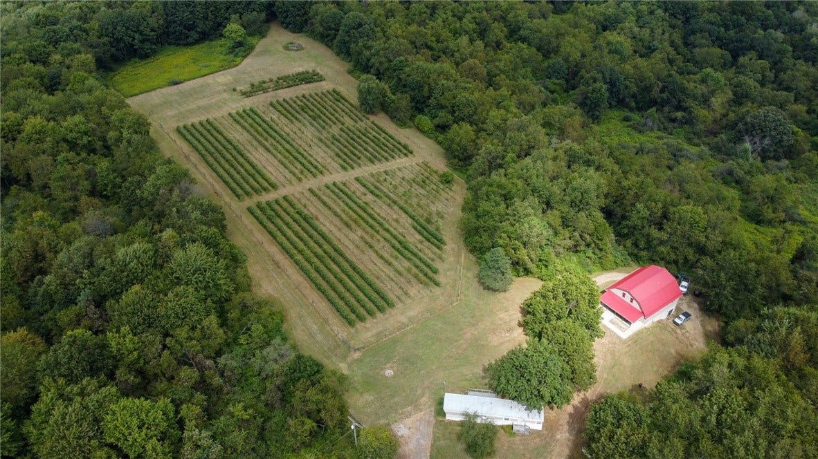 115 Dreher Farm Ln, Butler, PA 16002