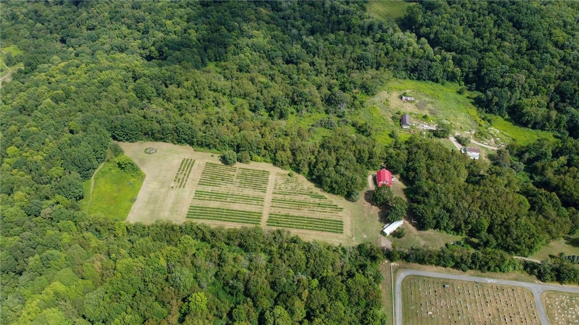115 Dreher Farm Ln, Butler, PA 16002