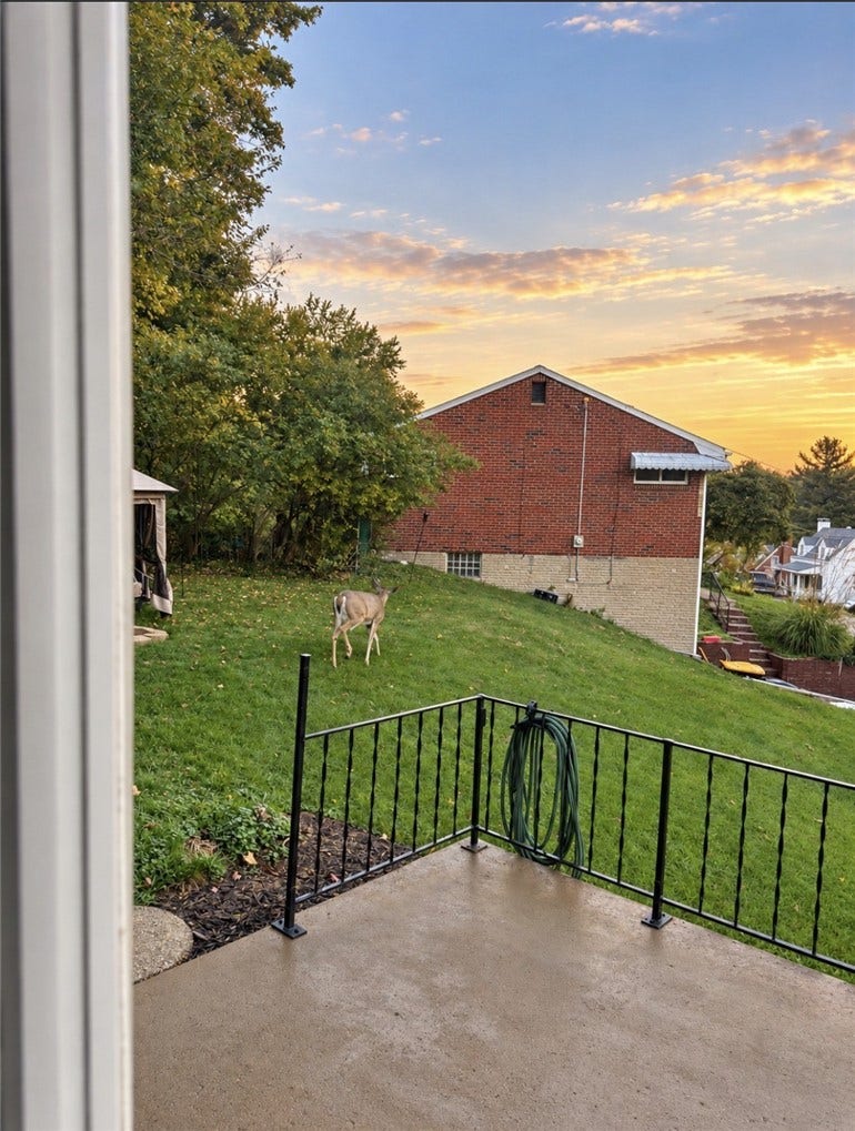 2007 Hillcrest St, Bethel Park, PA 15102