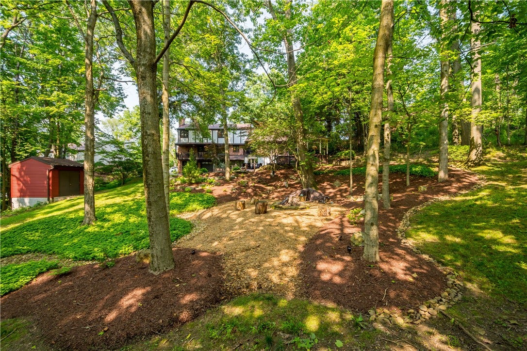 A full view of the beautiful backyard.
