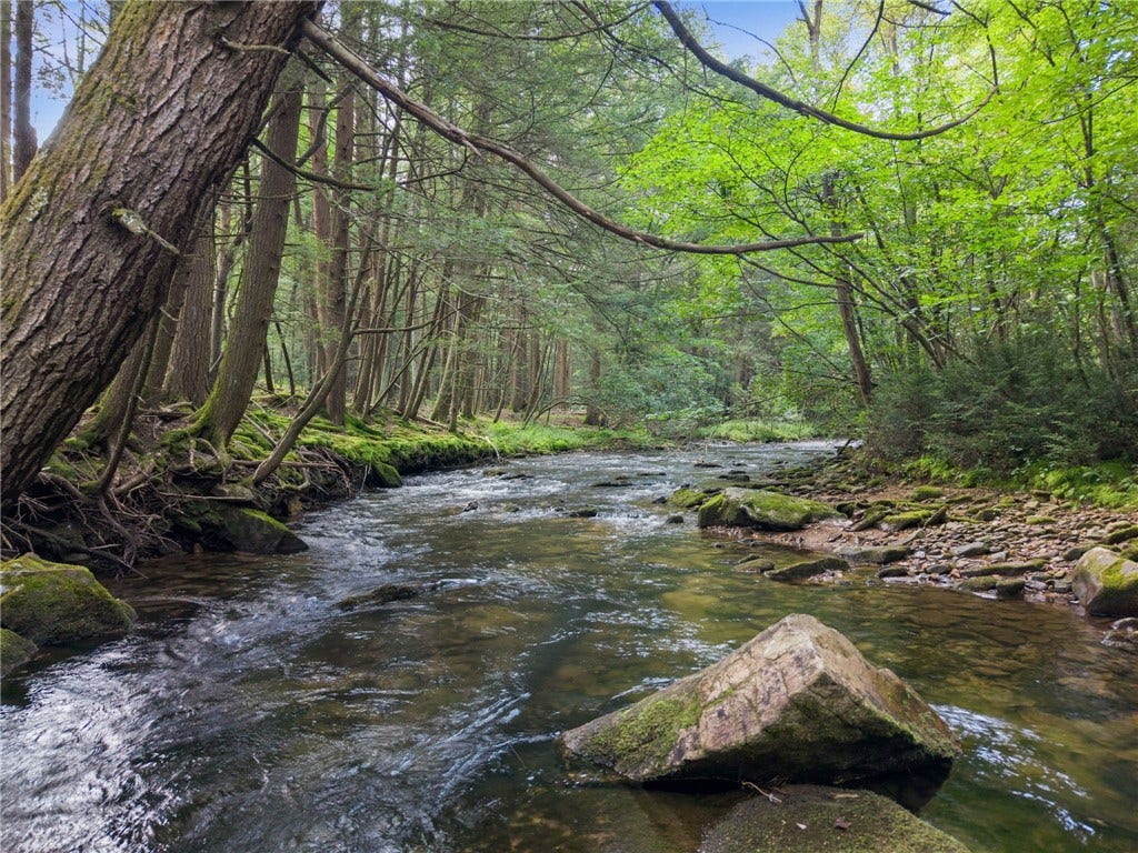 663 Fork Run, Clearfield, PA 16830