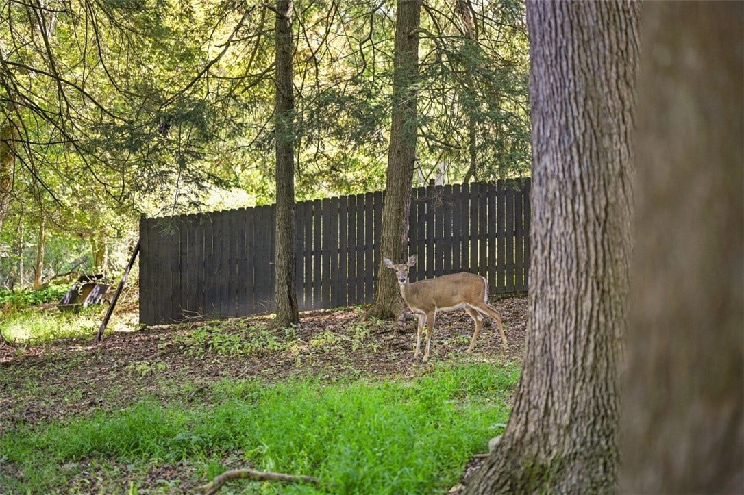3024 E Bardonner Rd, Gibsonia, PA 15044