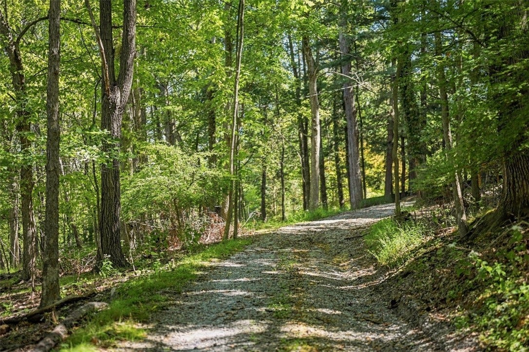 3024 E Bardonner Rd, Gibsonia, PA 15044 Driveway