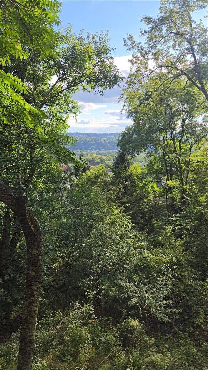 2368 Buena Vista St, Pittsburgh, PA 15218 2368 Buena Vista St, Pittsburgh, PA 15218
