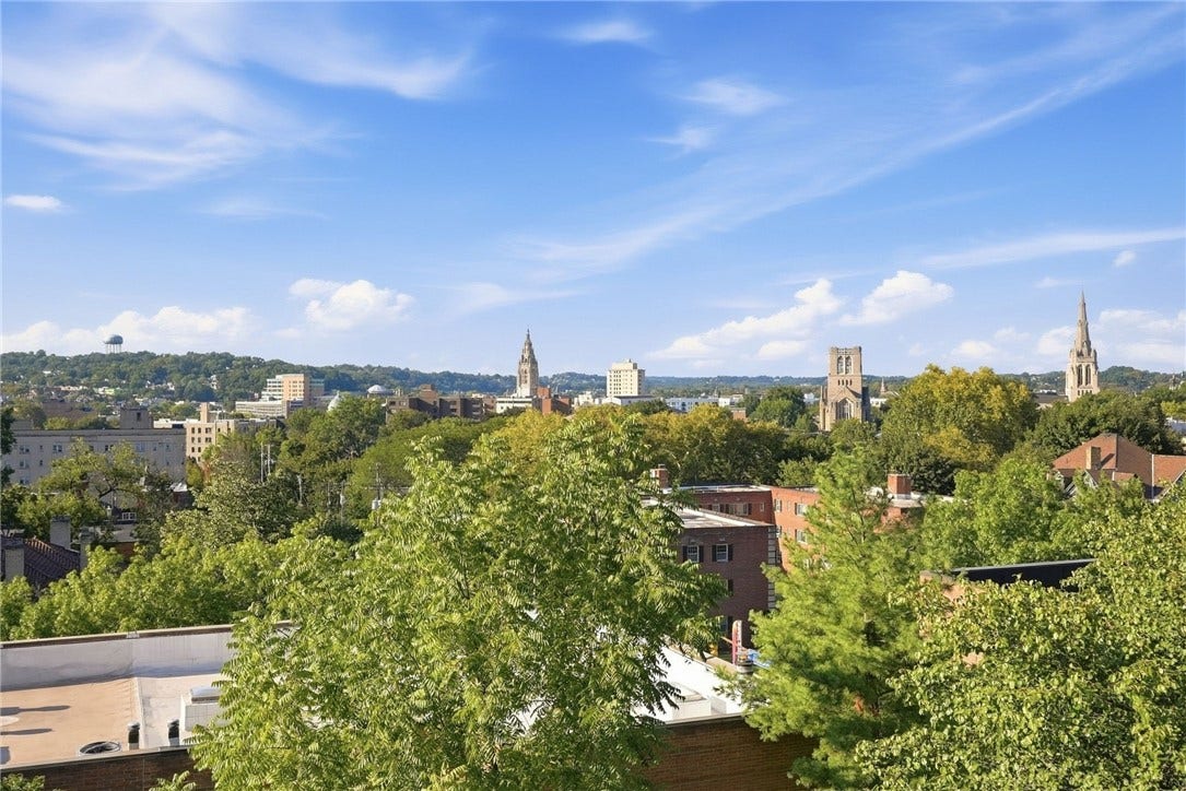 207 N Woodland Rd, Pittsburgh, PA 15232