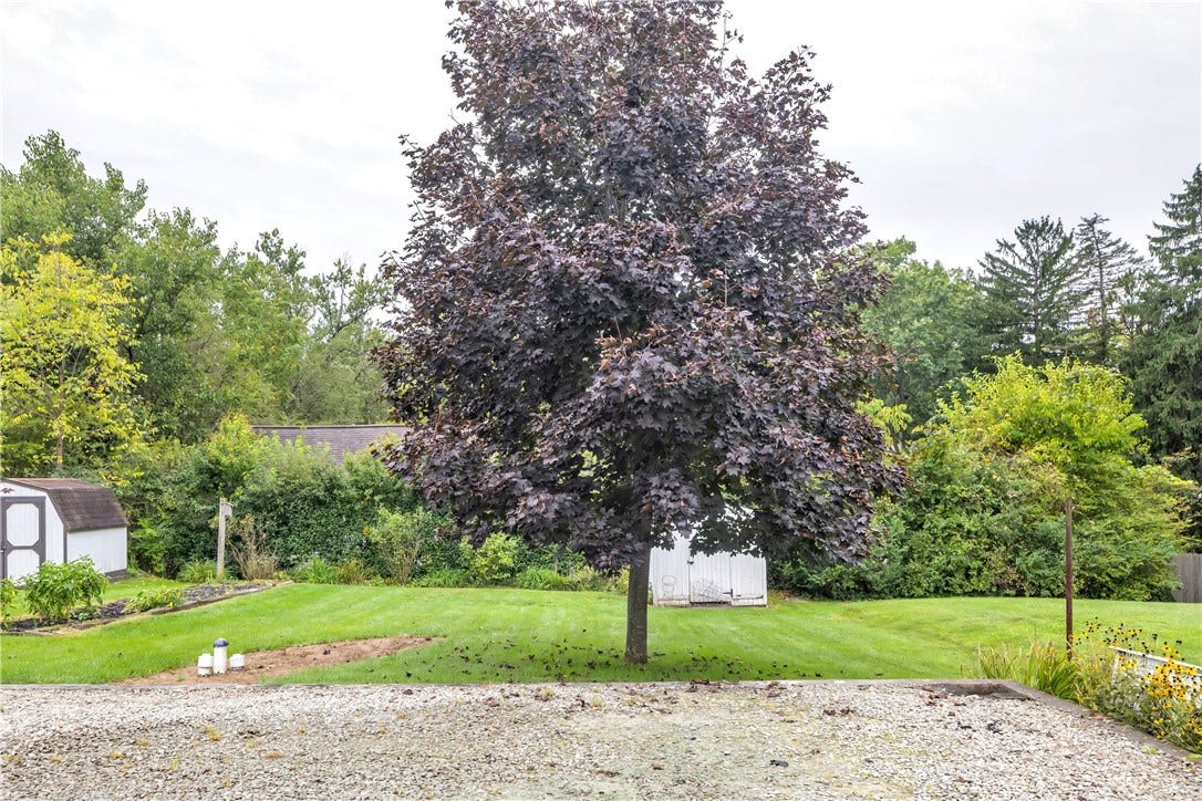 1824 Highland Ave, Irwin, PA 15642