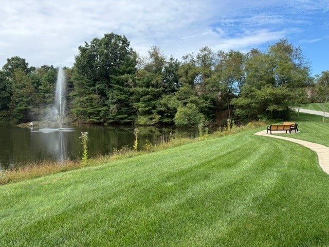 Common area at pond