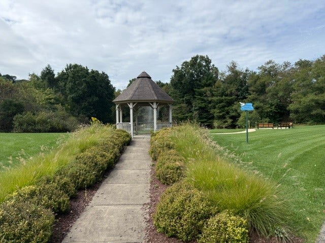 Gazebo at the pond
