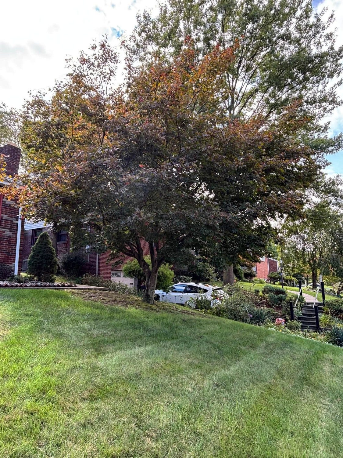 71 W Bruceton Road, Pittsburgh, PA 15236 71 W Bruceton Road, Pittsburgh, PA 15236