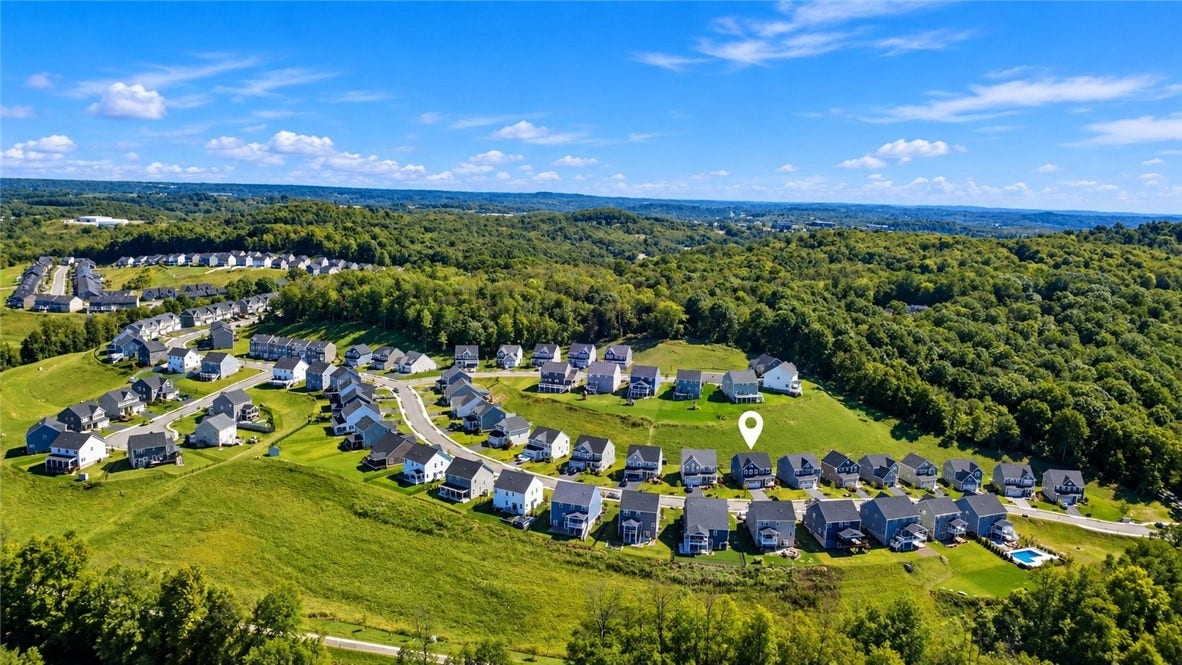 Drone of the neighborhood