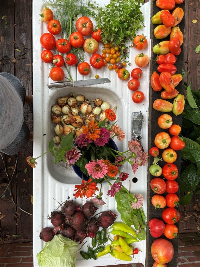 Harvest