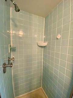 53 Academy Avenue, #503, Pittsburgh, PA 15228 walk in shower