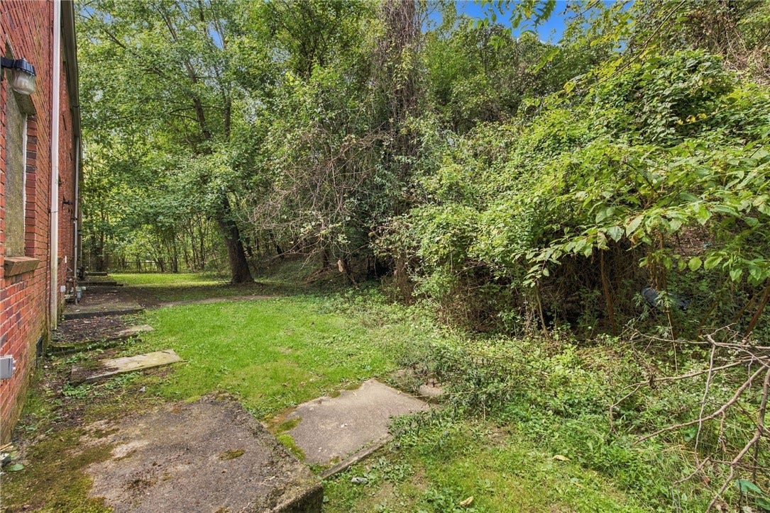 2501 Lincoln Ave, Clairton, PA 15025 Full view of back yards