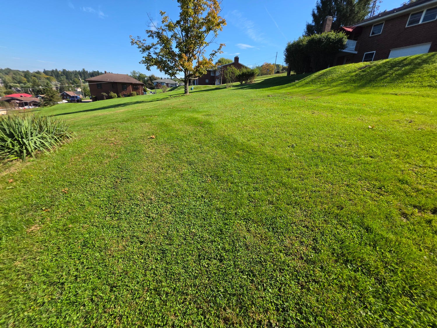 1345 Clifton Road, Washington, PA 15301