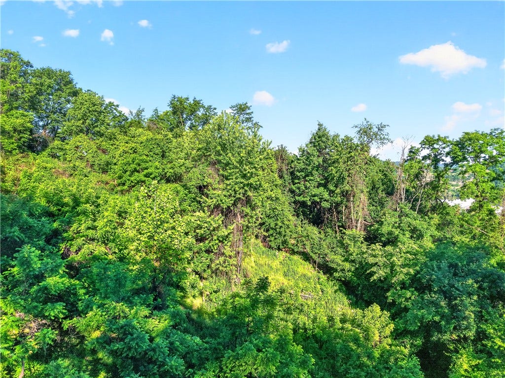 5334 Wickliff Street, Pittsburgh, PA 15201 5334 Wickliff Street, Pittsburgh, PA 15201