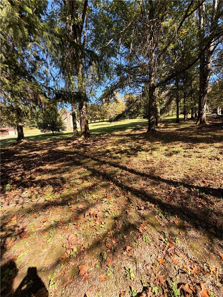 Lot# 11A Hemlock Way, Washington, PA 15301