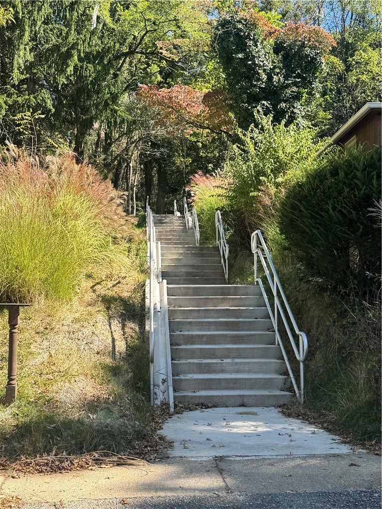 101 Forest Ridge Dr, Pittsburgh, PA 15221 Walking path to park