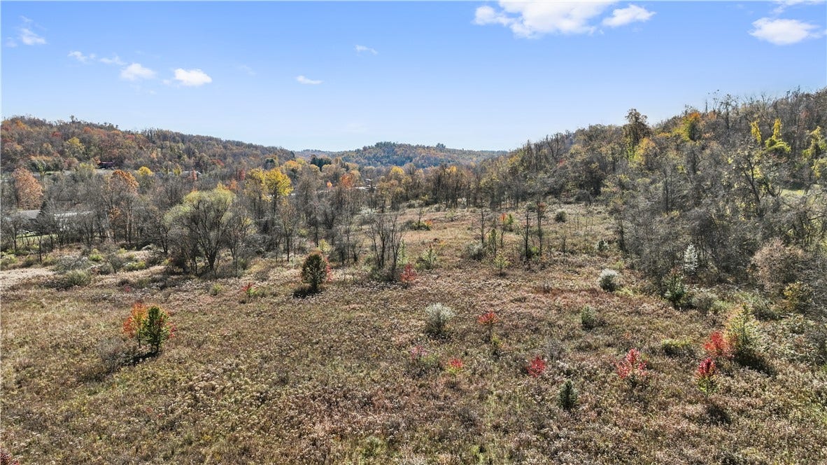 00 000 Pittsburgh rd, Perryopolis, PA 15473