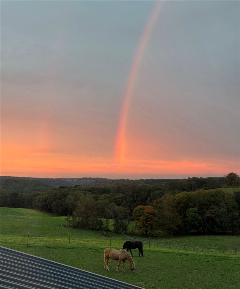 This can be your view from both the first and second floor Primary Bedrooms!