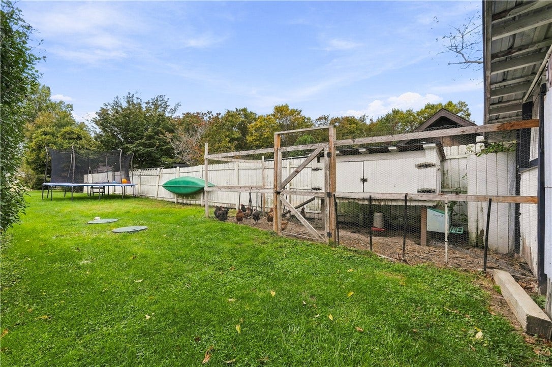 Chicken coop in back yard