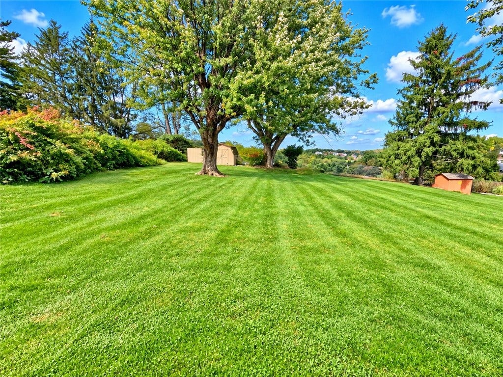 321 Comanche Dr, Belle Vernon, PA 15012 Backyard
