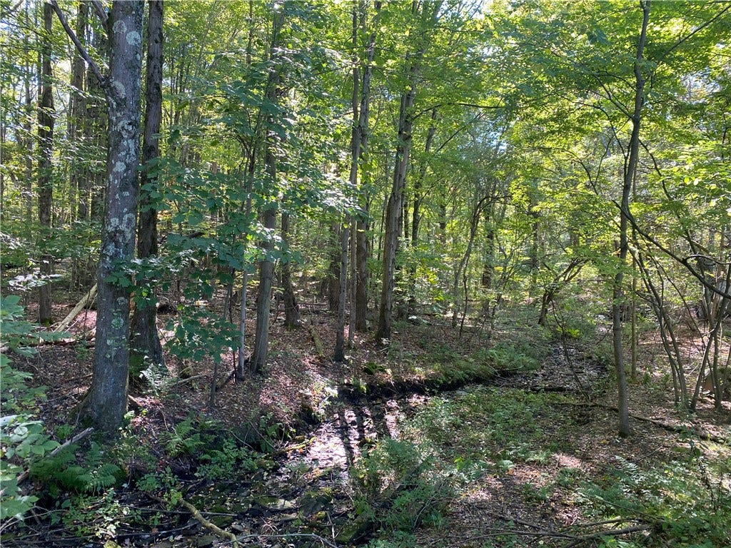 0 Carlyn Drive, Saegertown, PA 16433 0 Carlyn Drive, Saegertown, PA 16433